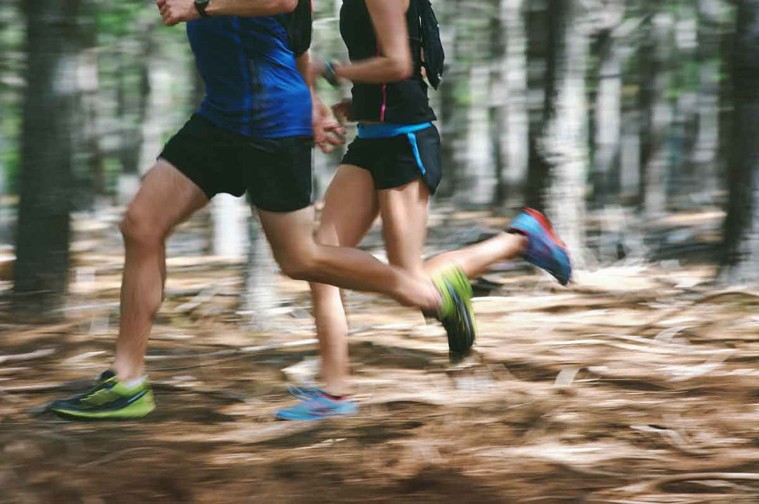 Top 3 Trail Run Events for Beginners in Tasmania (Updated for 2020)
