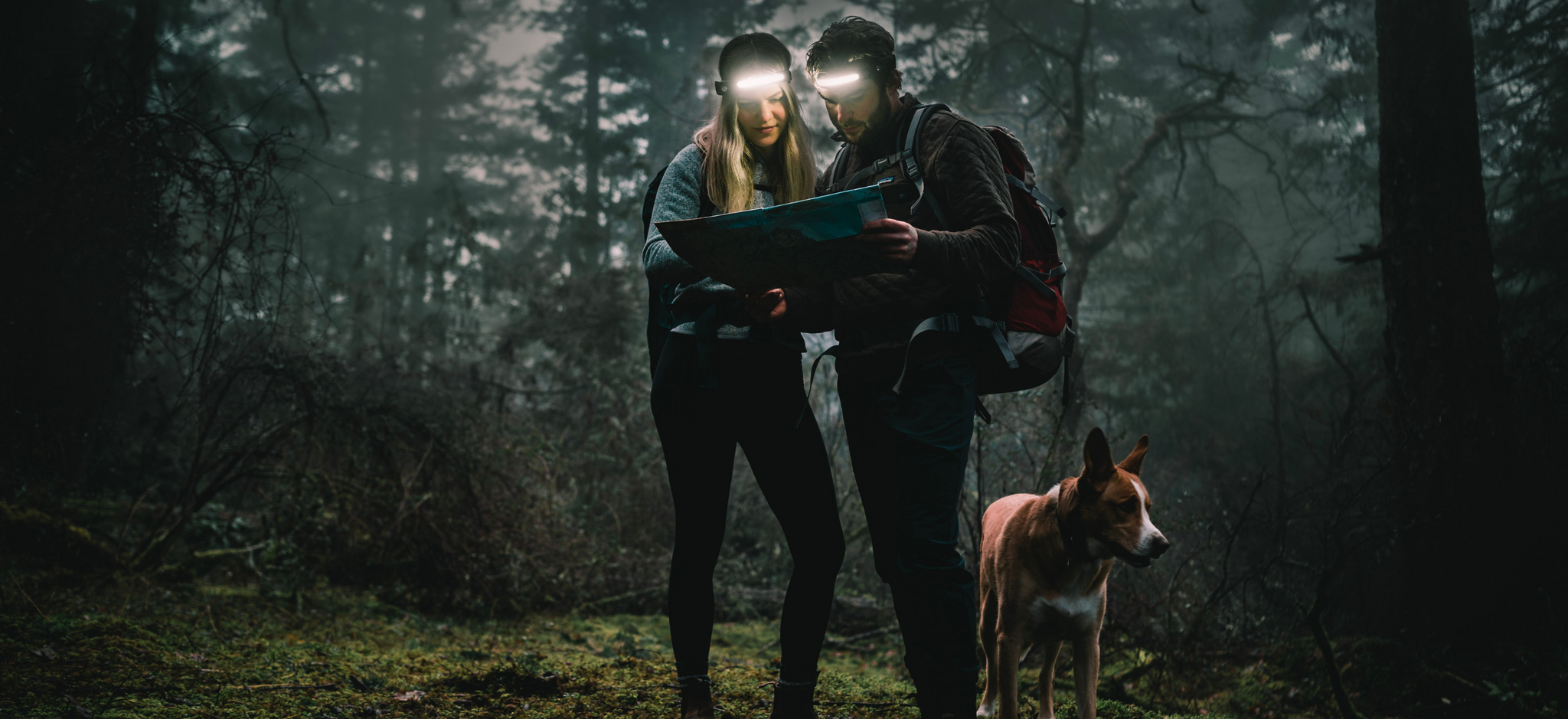 Hikers wearing wide-angle headlamps/ head torches